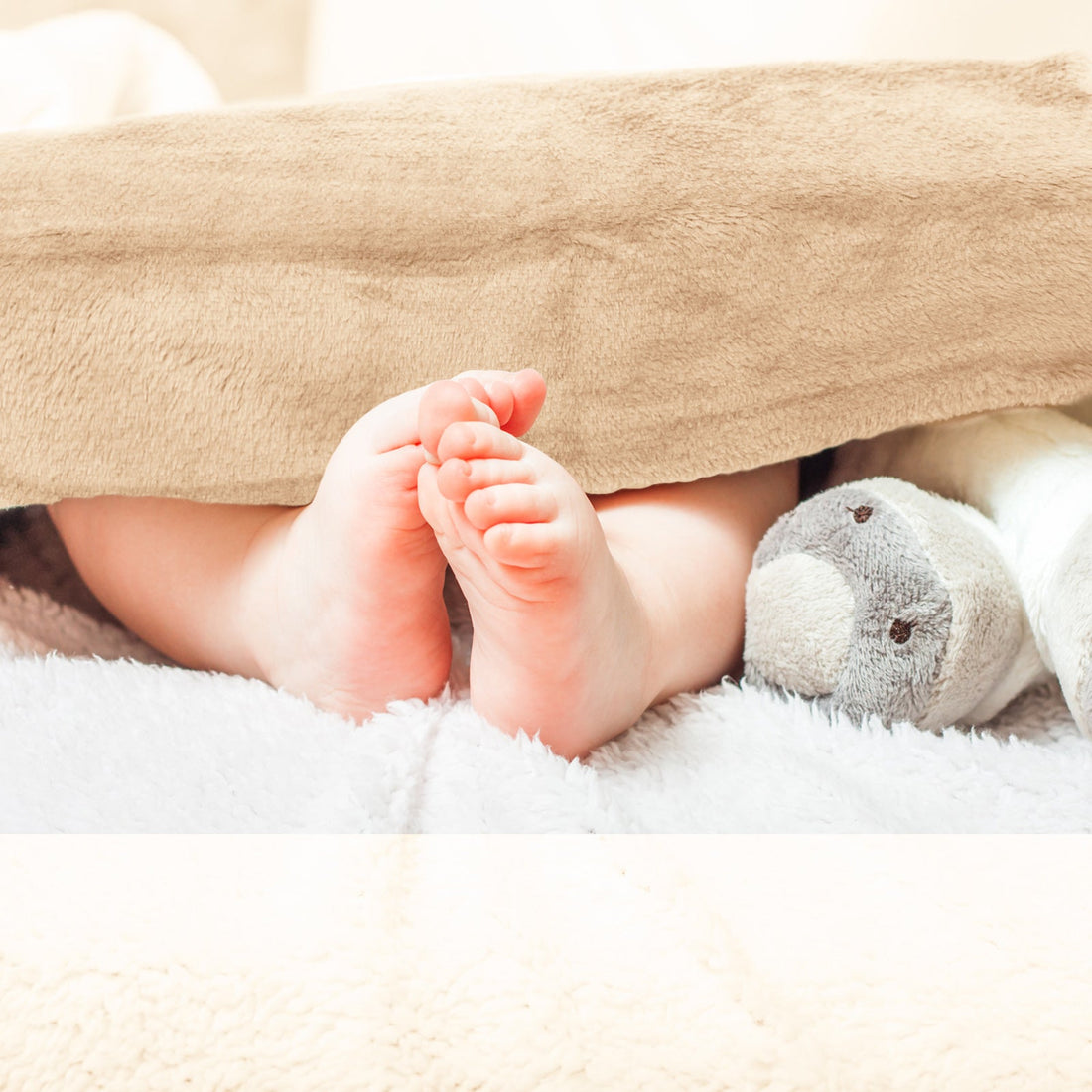 Wynter Throw Soft Blanket Plush - Camel