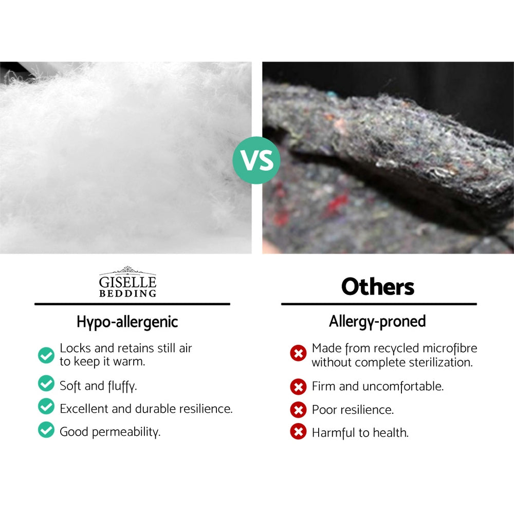 Queen Size Mattress Topper Pillowtop 1000GSM Microfibre Filling Protector